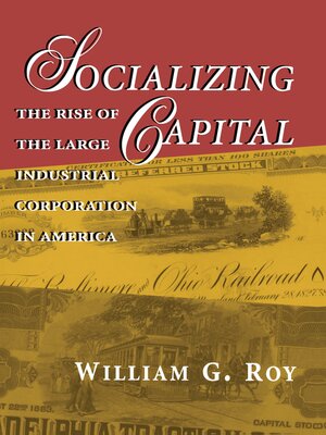 cover image of Socializing Capital